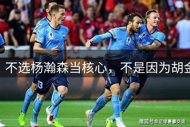 不选杨瀚森当核心，不是因为胡金秋更强，而是他和我们认知不匹配